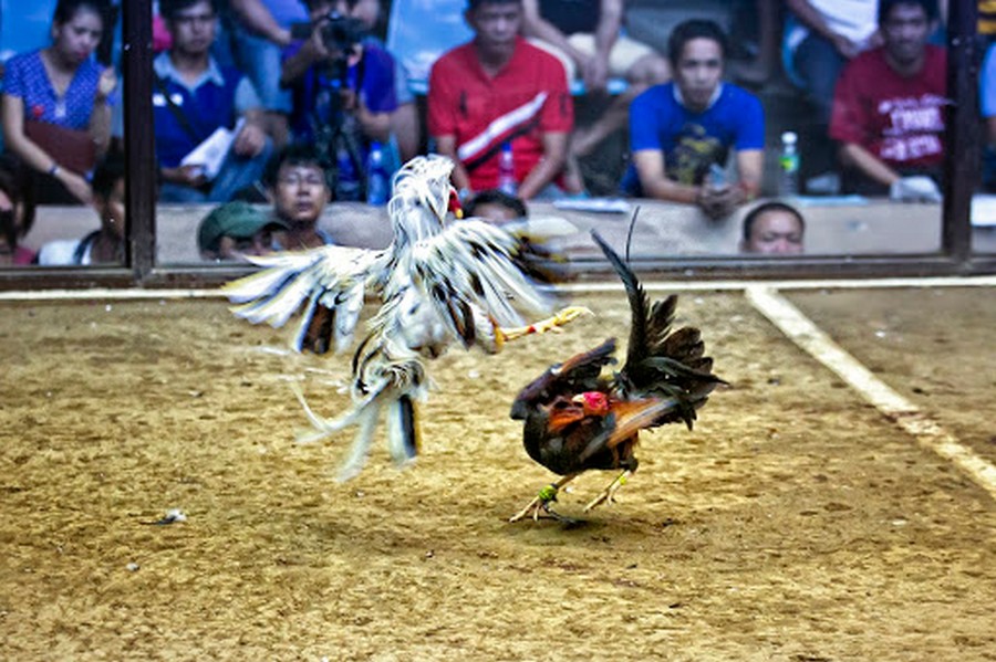 Những Quan Niệm Sai Lầm Chết Người Khi Xem Vảy
