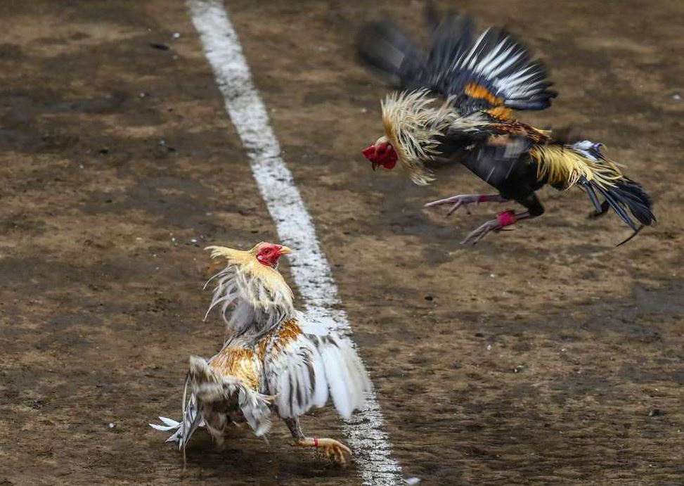 Tại Sao Việc Kiểm Soát Cân Nặng Lại Quan Trọng?