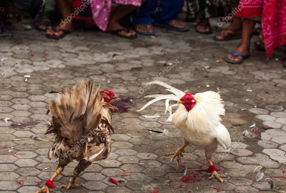 Giải Quyết Vấn Đề Nâng Cao & Lời Khuyên Từ Kinh Nghiệm Thực Chiến