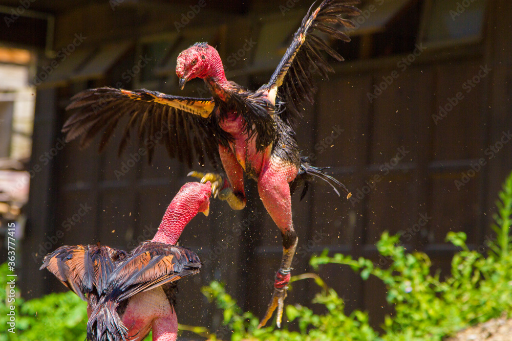 Quy trình tập luyện vần hơi, vần đòn khoa học