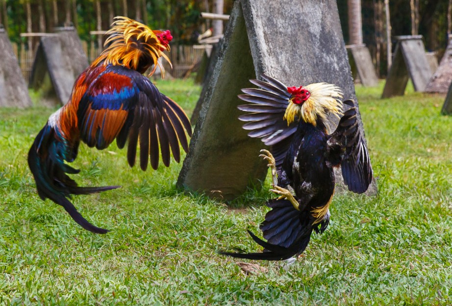 Dinh dưỡng 7 ngày đầu tiên - Giọt nước, hạt tấm quyết định sinh tử